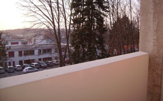 Joli studio à Fribourg!