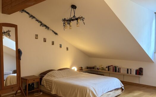 Charmant 3.5 pièces en vieille ville de Fribourg