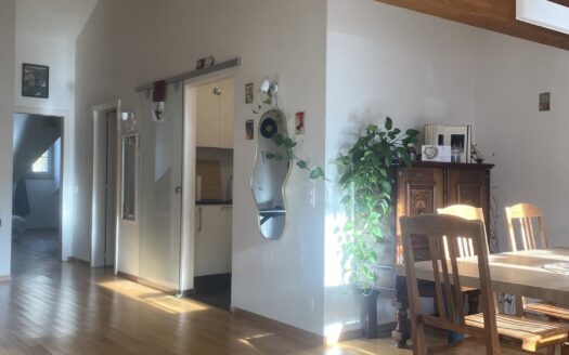 Charmant 3.5 pièces en vieille ville de Fribourg