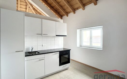 Joli studio à la rue de Morat 8, Fribourg