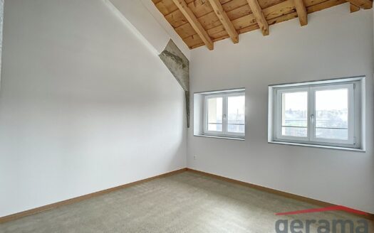 Joli studio à la rue de Morat 8, Fribourg