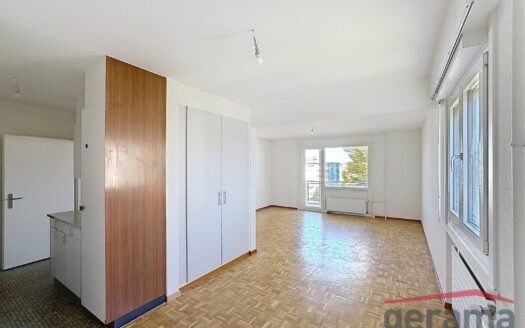 Charmant 3.5 pièces au 4ème étage à Fribourg