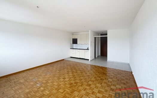 Appartement 1.5 pièce au 9ème étage
