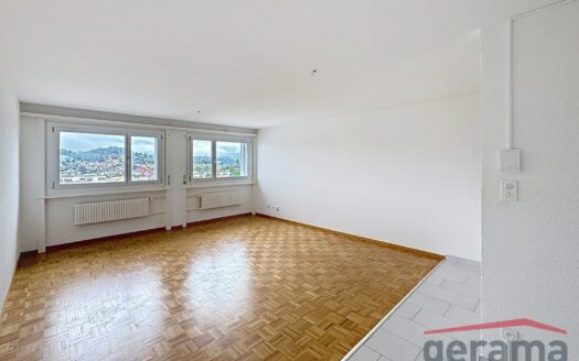 Appartement 1.5 pièce au 9ème étage
