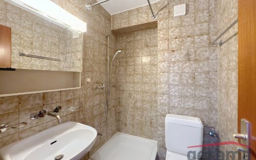 Appartement 1.5 pièce