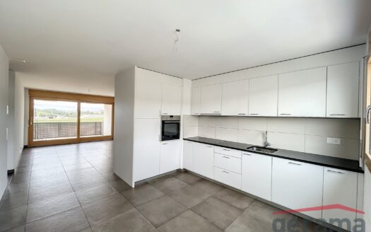 Appartement 3.5 pièces au 3ème