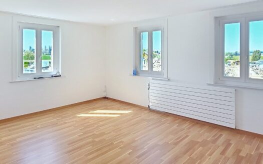 Charmant appartement de 4.5 pièces au Mouret
