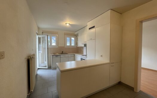 Joli 2.5 pièces à St. Léonard !