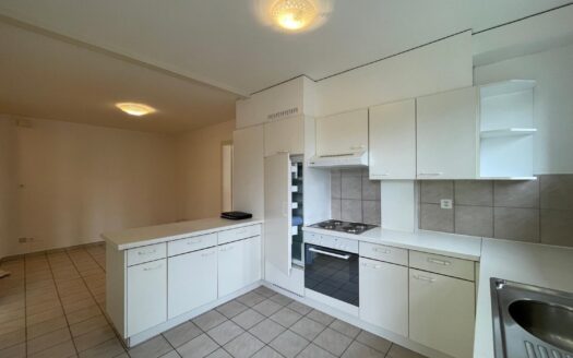 Appartement 2.5 pièces à St. Léonard !