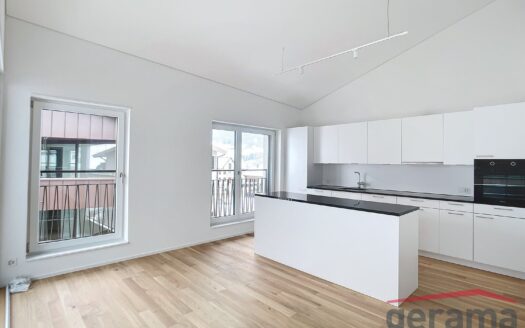 Schöne 3.5 Zimmerwohnung in Plaffeien Telmoos !