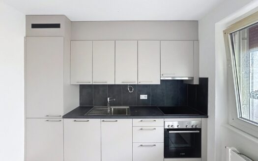 Appartement 2,5 pièces dans le quartier du Jra