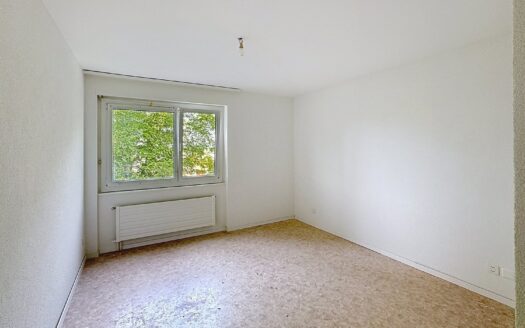 Appartement 2,5 pièces dans le quartier du Jra