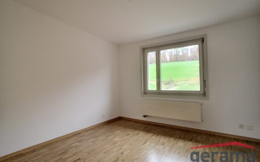Appartement 3,5 pièces quartier de la Faye