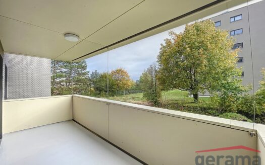 Appartement entièrement rénové