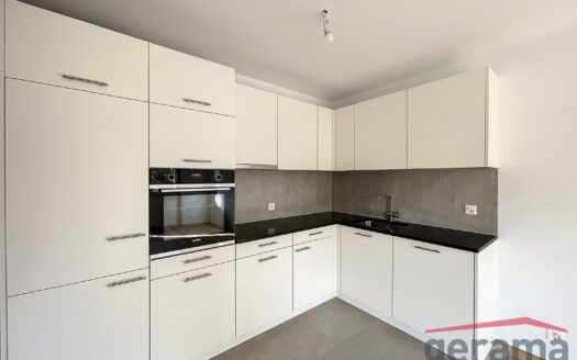 Appartement entièrement rénové