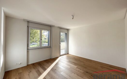 Appartement entièrement rénové