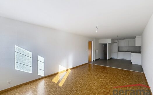 Charmant 4.5 pièces à Fribourg