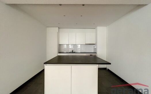 Grand appartement 2.5 pièces