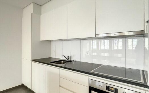 Grand appartement 2.5 pièces