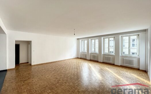 Grand appartement 2.5 pièces