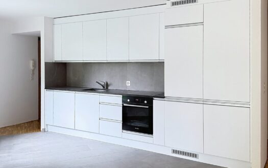 Appartement 2.5 pièces à Givisiez !