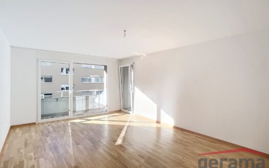 Appartement 4.5 pièces au 3ème étage