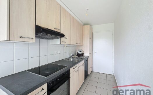 2.5 pièces au rez-de-chaussée