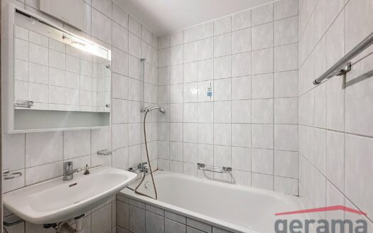 2.5 pièces au rez-de-chaussée