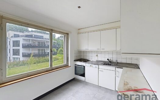 3.5 Zimmerwohnung in Flamatt !