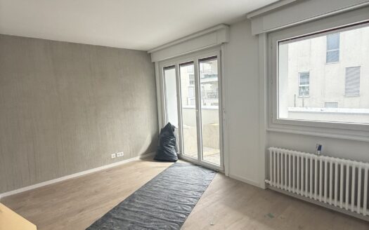 Joli studio à louer à Fribourg