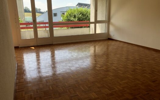 Charmante 3.5 Zimmerwohnung in Schmitten