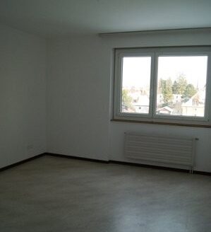 Appartement 1,5 pièces dans le quartier du Jura