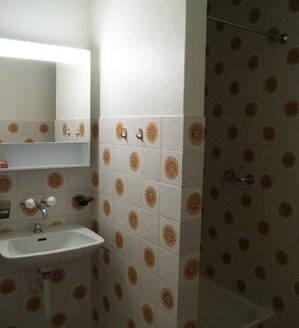 Appartement 1,5 pièces dans le quartier du Jura