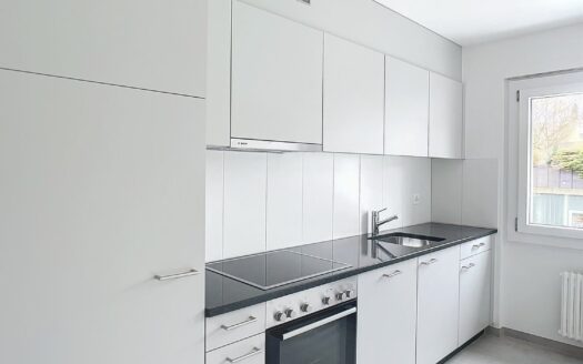 Appartement 2.5 pièces au 1er étage