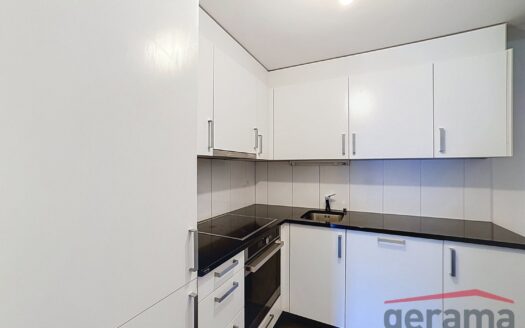 Logement lumineux 3.5 pièces en vieille ville