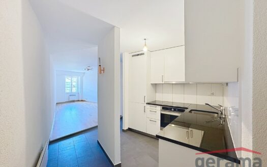 Logement lumineux 3.5 pièces en vieille ville
