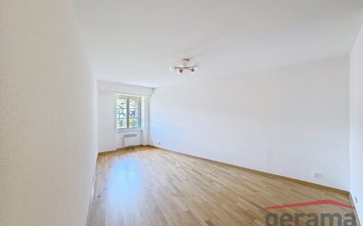 Logement lumineux 3.5 pièces en vieille ville