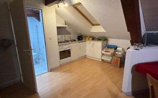 Appartement 2.5 pièces au centre de Fribourg !