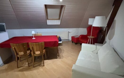 Appartement 2.5 pièces au centre de Fribourg !