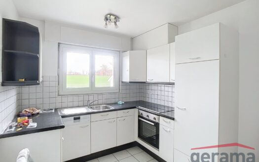 Charmante 3.5 Zimmerwohnung in Tentlingen