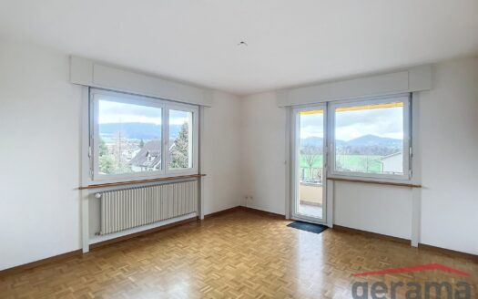 Charmante 3.5 Zimmerwohnung in Tentlingen