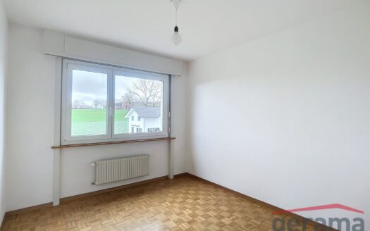 Charmante 3.5 Zimmerwohnung in Tentlingen