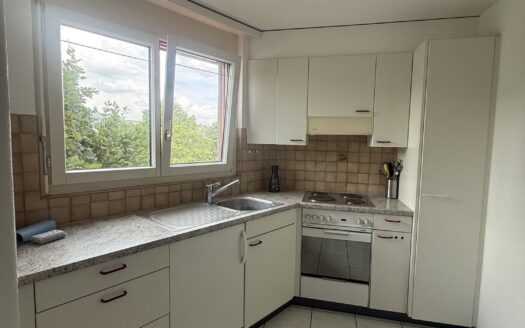 Helle 2.5 Zimmer-Wohnung in Alterswil