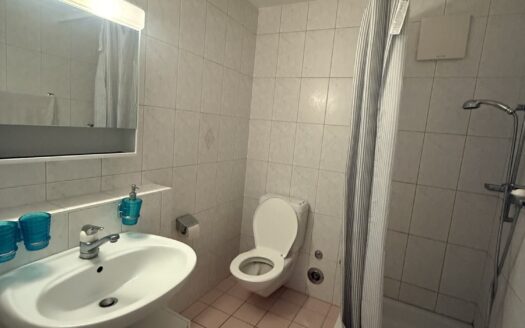 Helle 2.5 Zimmer-Wohnung in Alterswil