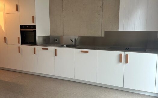 Charmante villa duplex de 3.5 pièces à louer