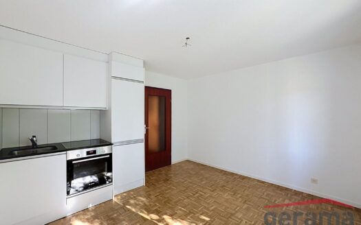 Charmant studio à Belfaux