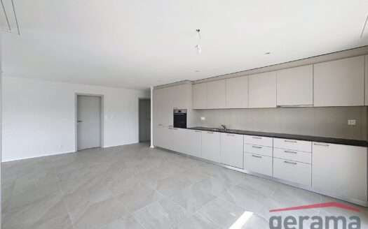 Appartement 4.5 pièces neuf à Domdidier !