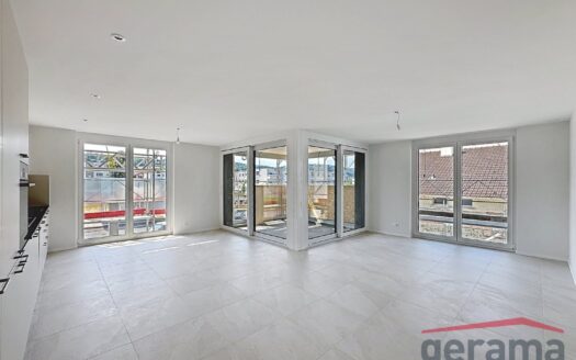 Appartement 4.5 pièces neuf à Domdidier !
