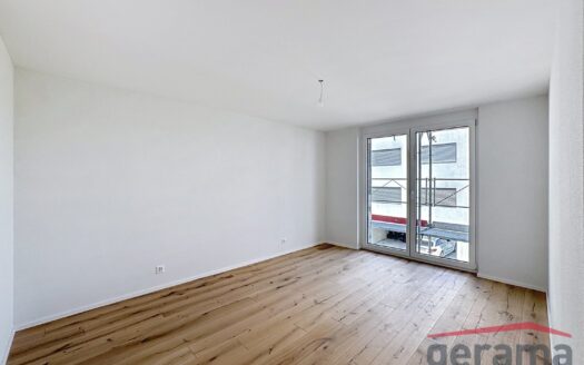 Appartement 4.5 pièces neuf à Domdidier !