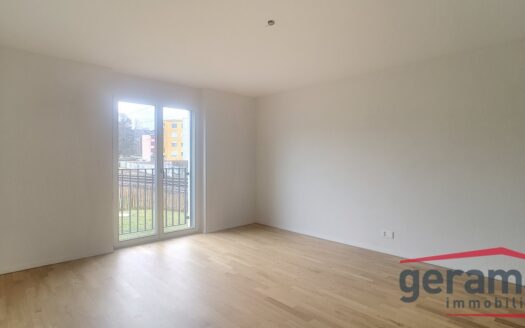 Moderne 5.5 Zimmer-Wohnung in Schmitten!